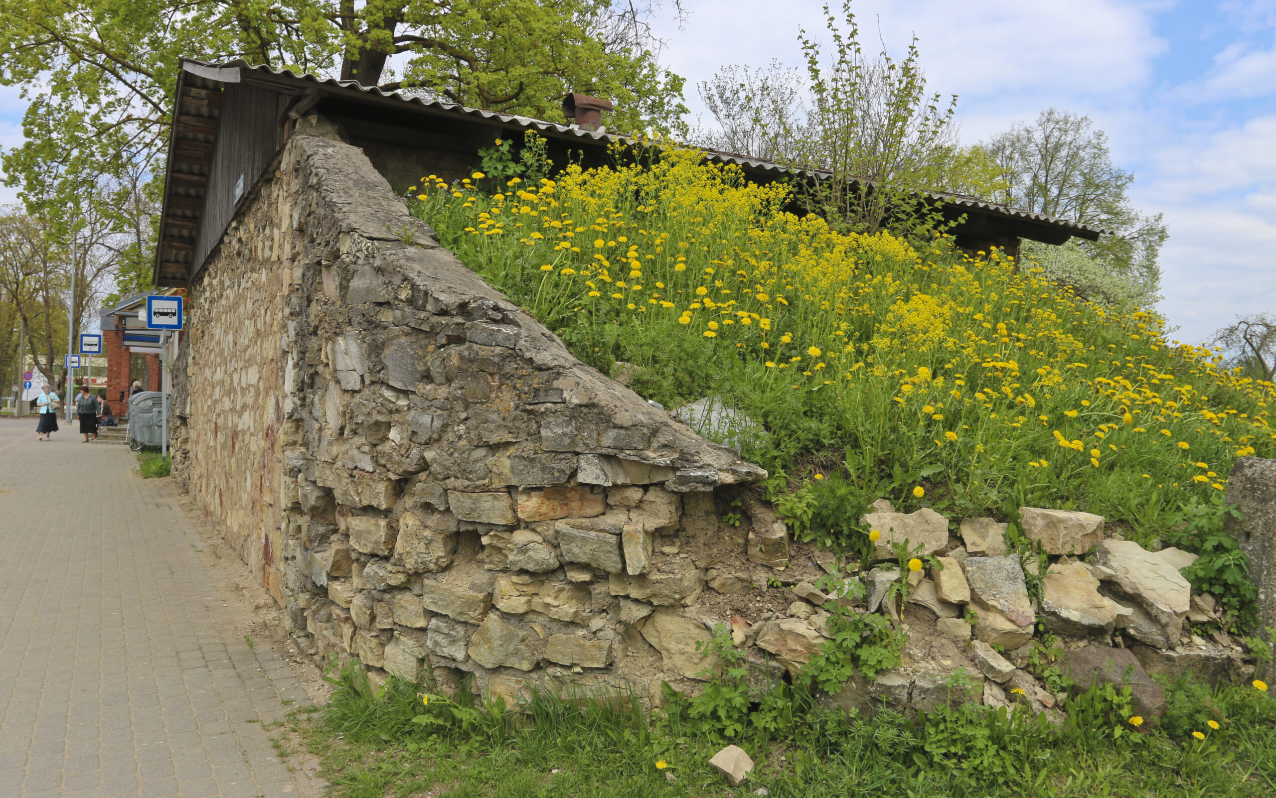 Zied Muuris Fotomarta 1