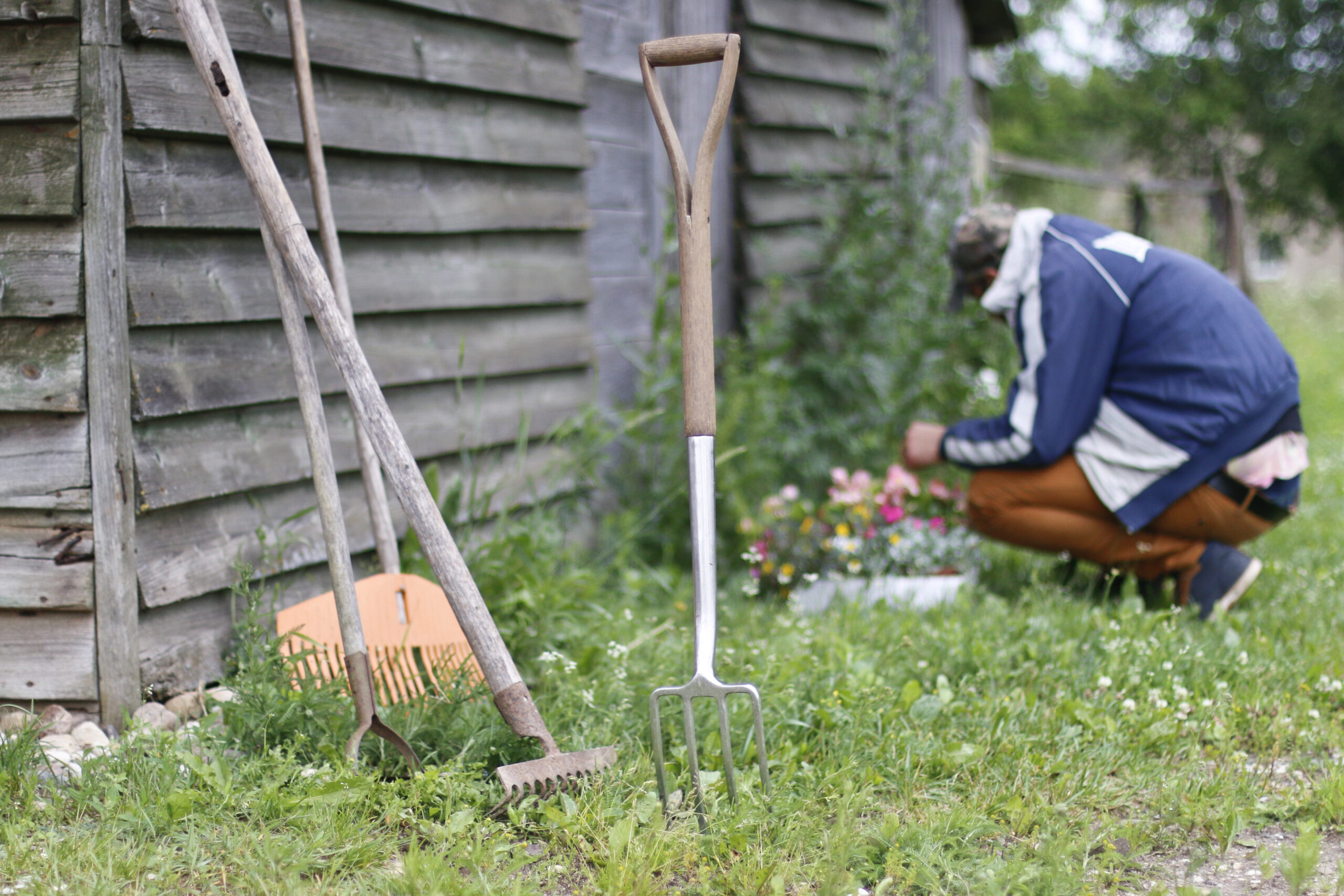 100latnieki Fotomarta 2 1