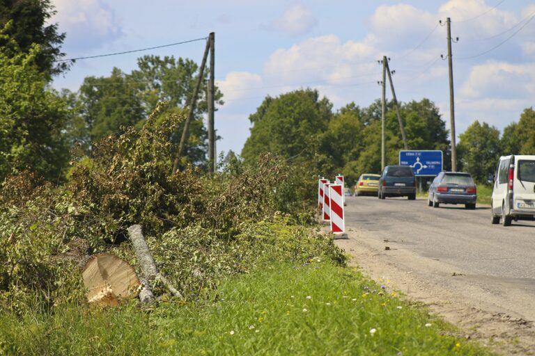 Cels Priekuli Fotomarta 1