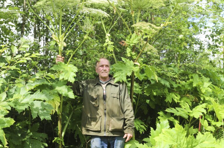 Latvaanji Fotomarta 2 1