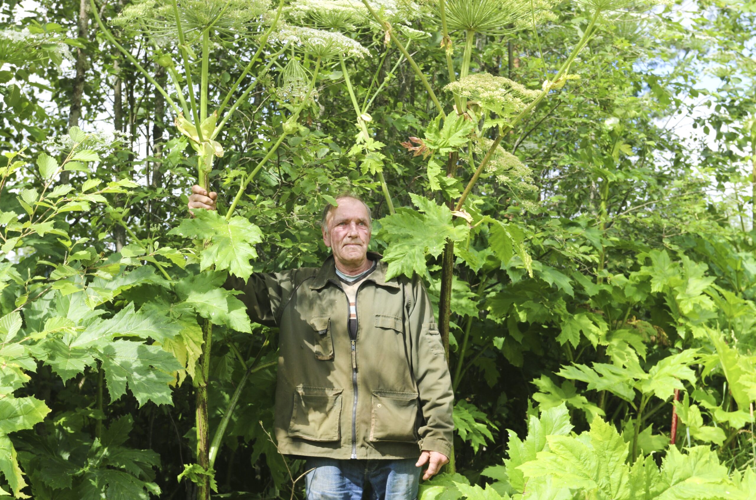 Latvaanji Fotomarta 2 1