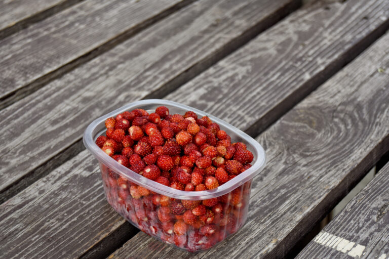 Mezazemenes Indarsfoto