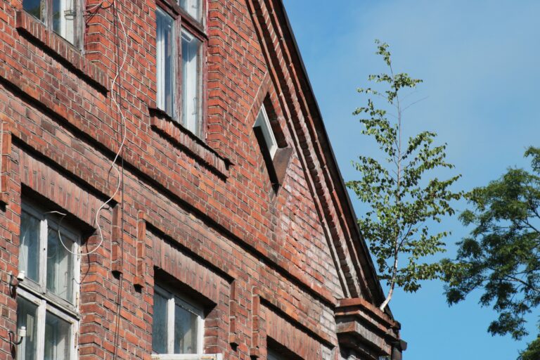 Beerzs Garaamejot Fotomarta 1 1