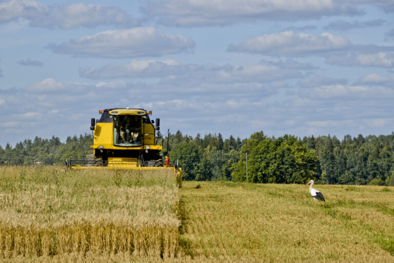Labibaskulsana Indarsfoto 4