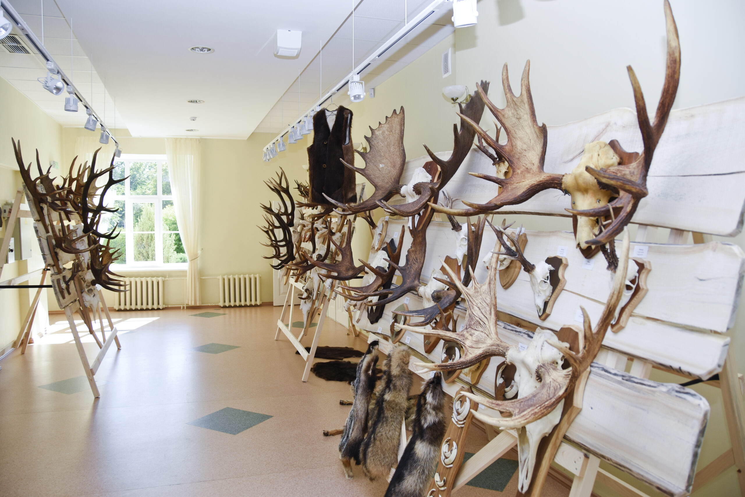 Mediniekuizstade Indarsfoto 1