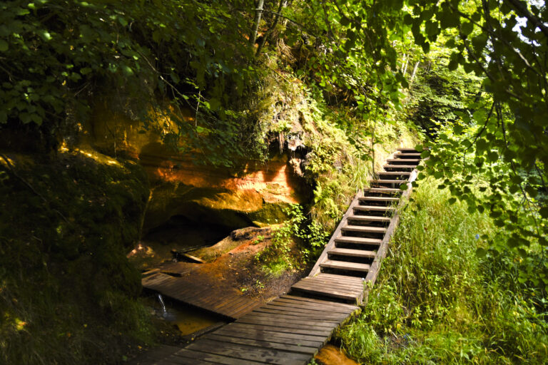 Rucamavots Indarsfoto