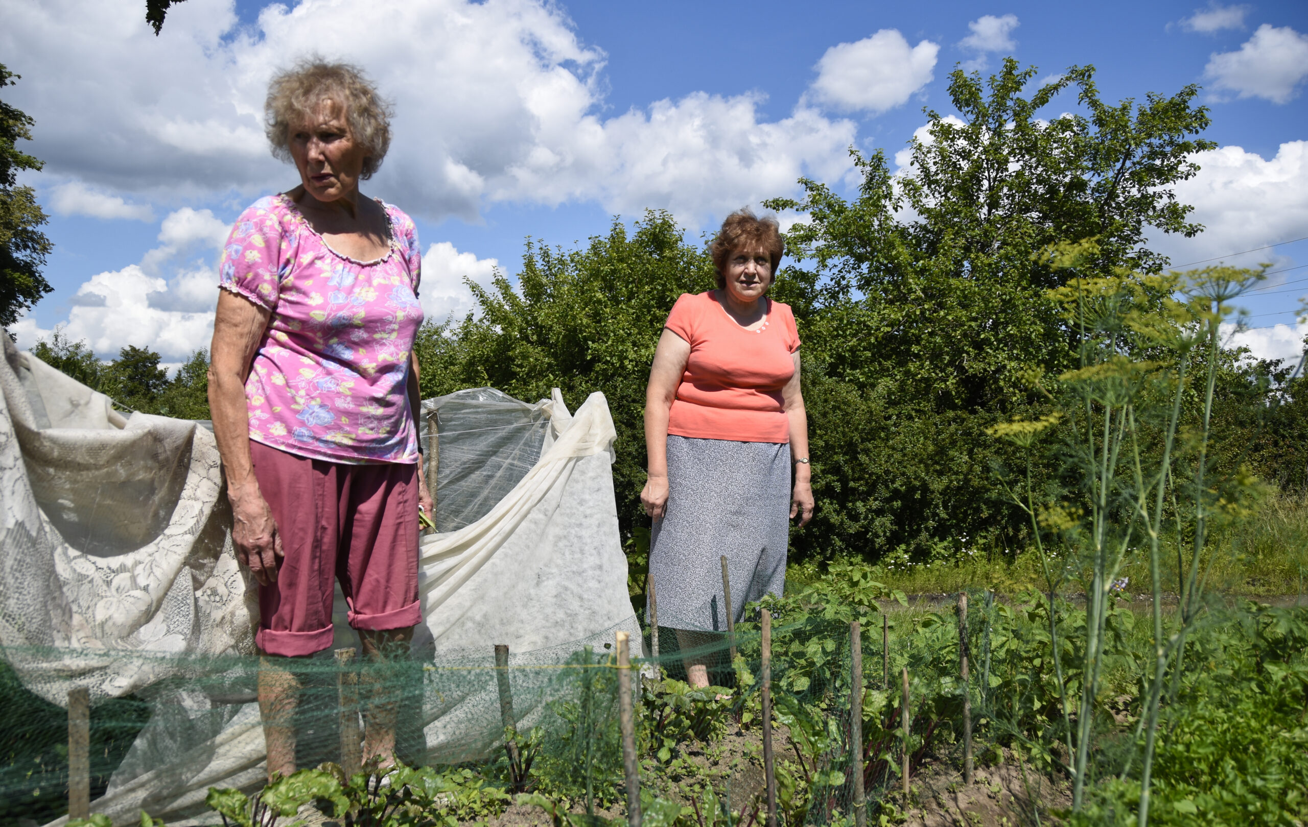 Stirnasdarzos Indarsfoto 2