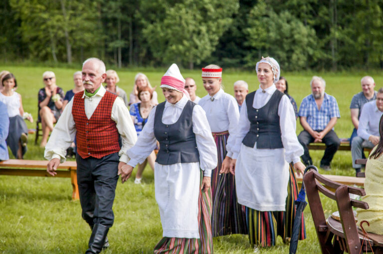Vidzeme Svinigais Pasakums 2017 1