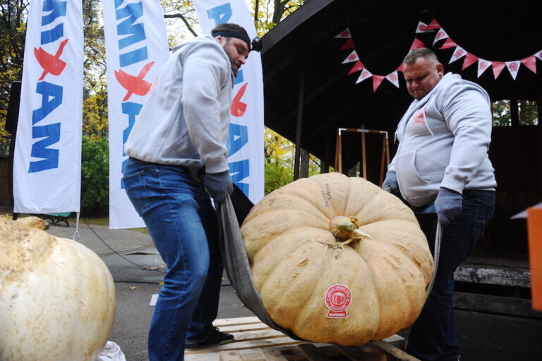 Foto Pieteiksanas 12 Lielaka Kirbja Cempionatam 260917 1