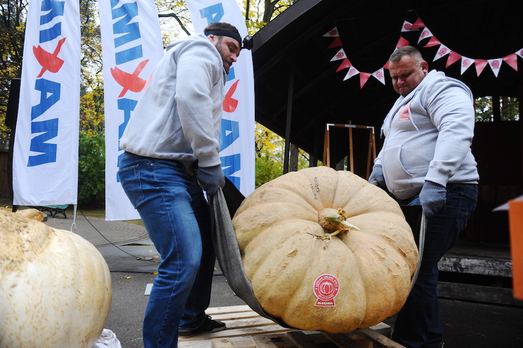 Foto Pieteiksanas 12 Lielaka Kirbja Cempionatam 260917 1