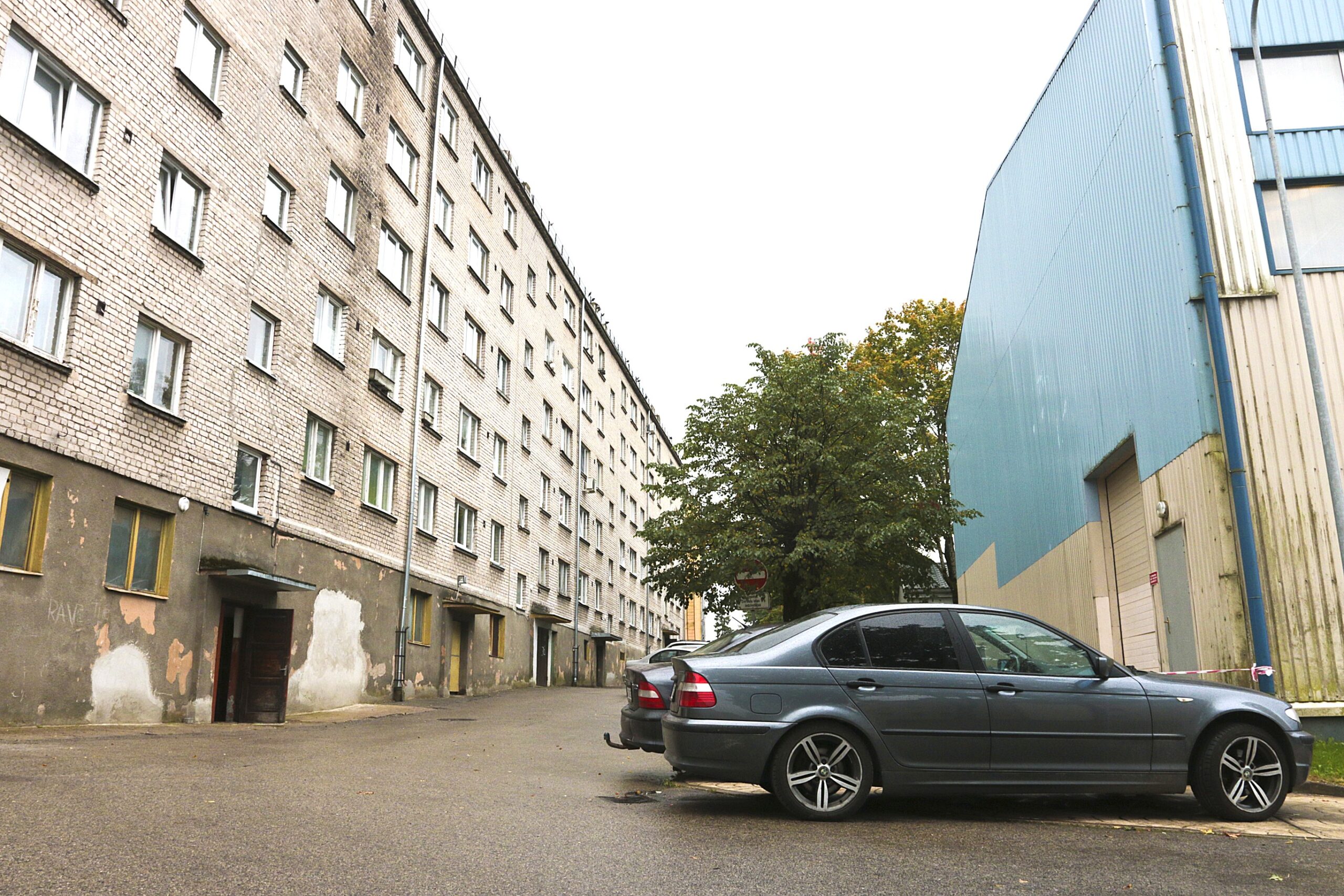 Skaistais Pagalms Fotomarta 1