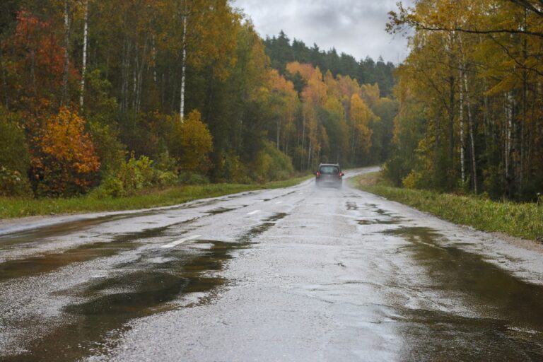 Bedres Fotomarta 1 1