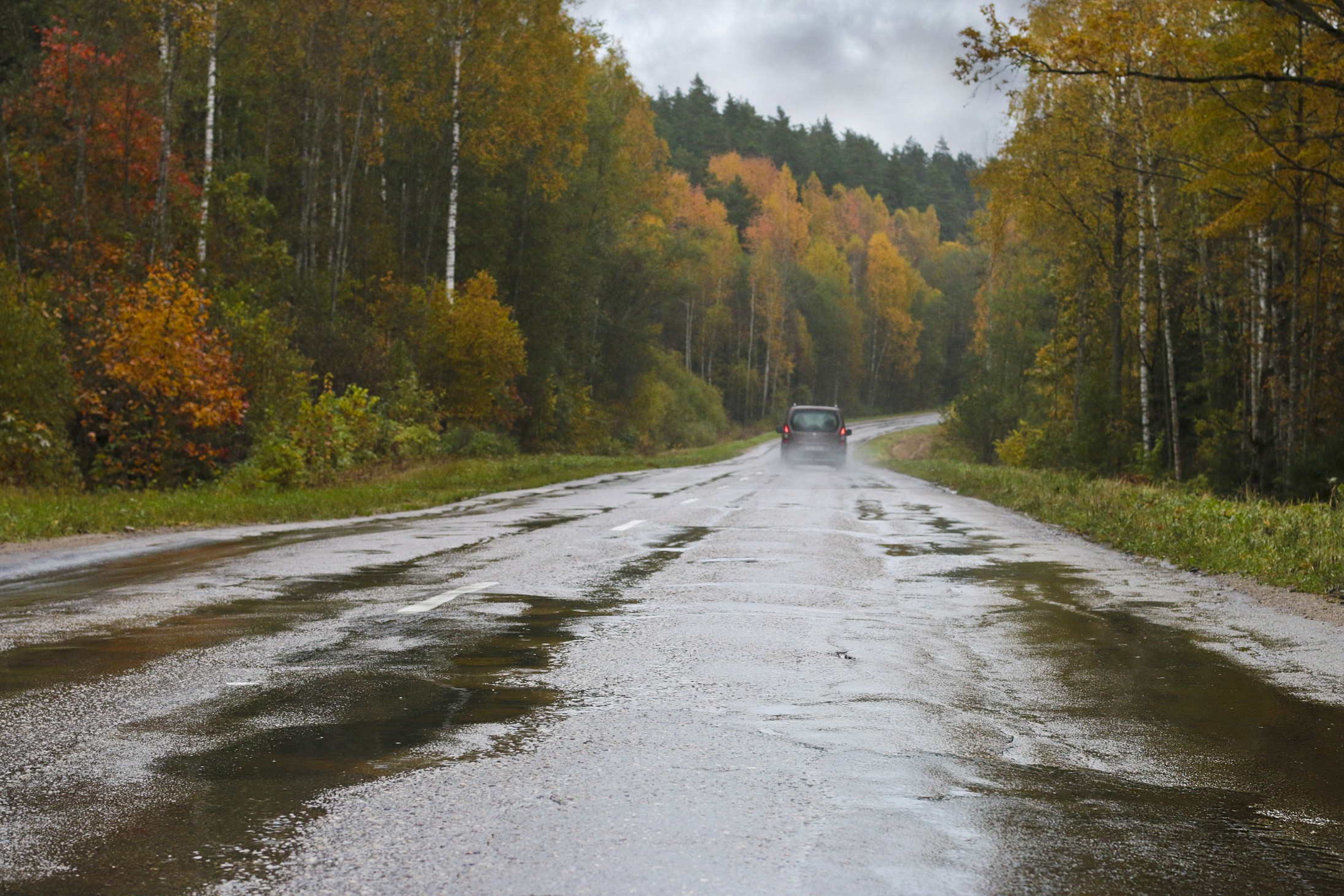 Bedres Fotomarta 1 1