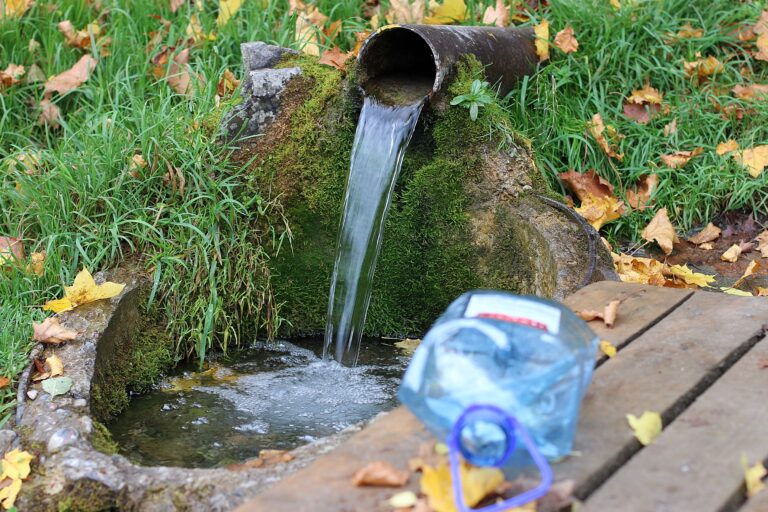 Dukuru Uudens Fotomarta 1