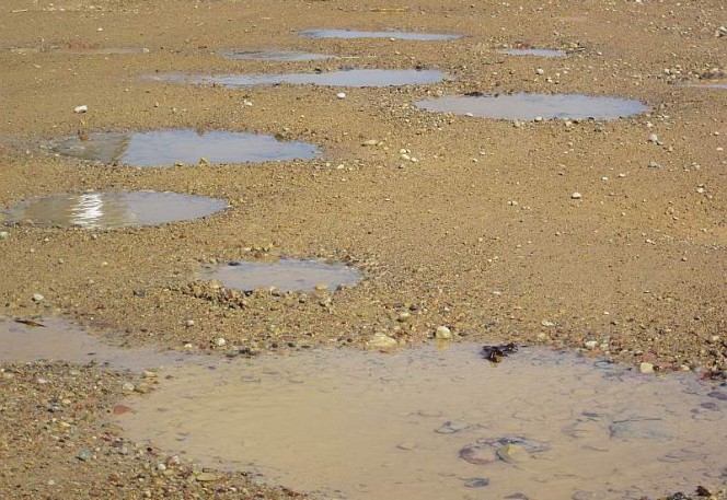 Grantscels Pelke Aj 664x457 1