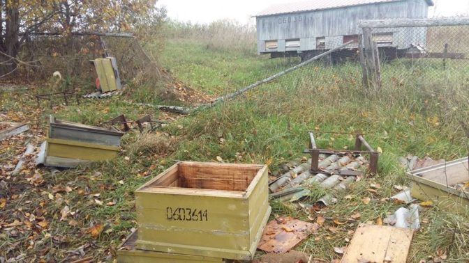 Negants Lacis Lejasciema Pilniba Izposta 59e9cf28da59b 672x378 1