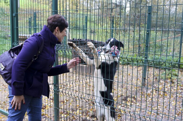 Patversmee Bella Un Tiesnes Fotomarta 1