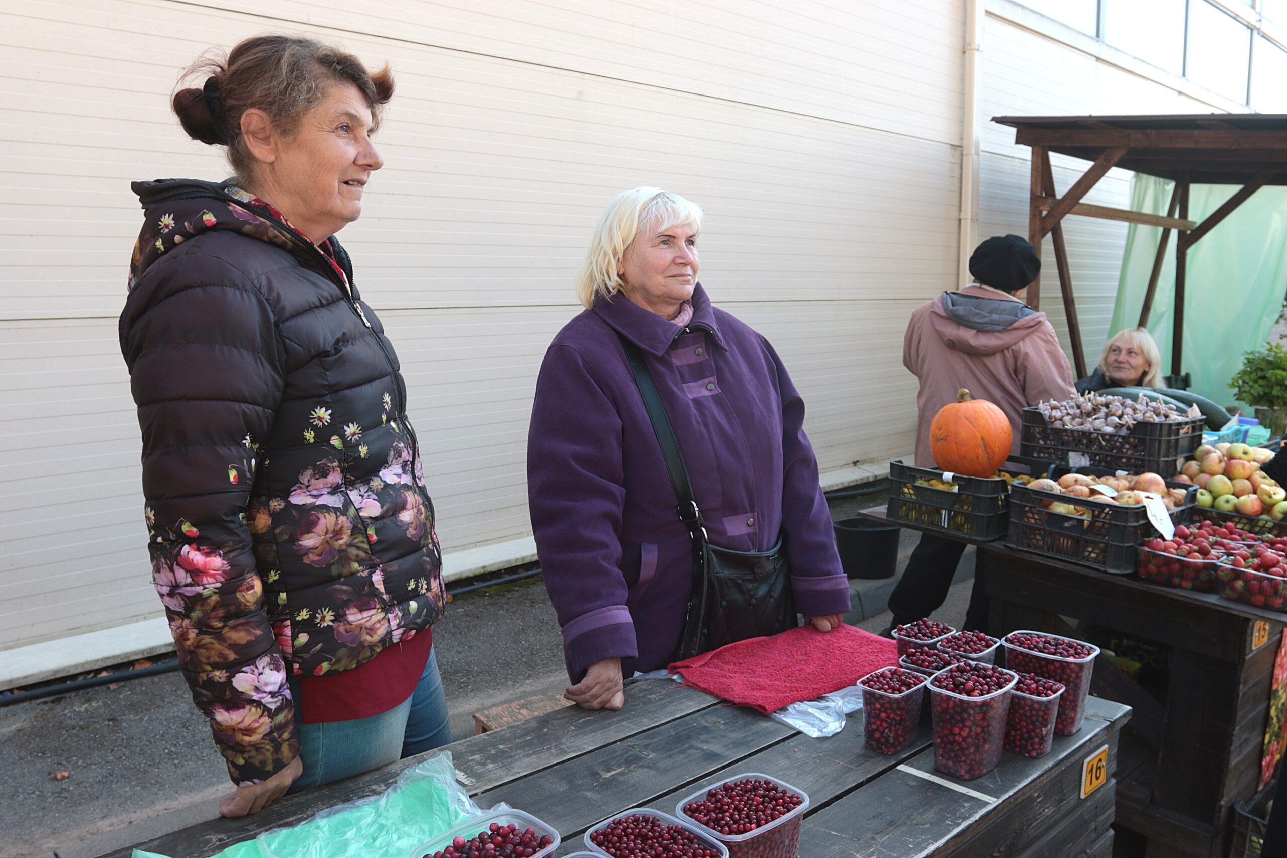 Rudens Ogas Fotomarta 2 1