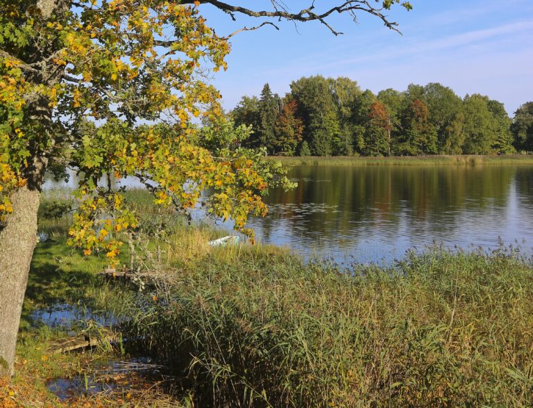 Rudens Fotomarta 5 1