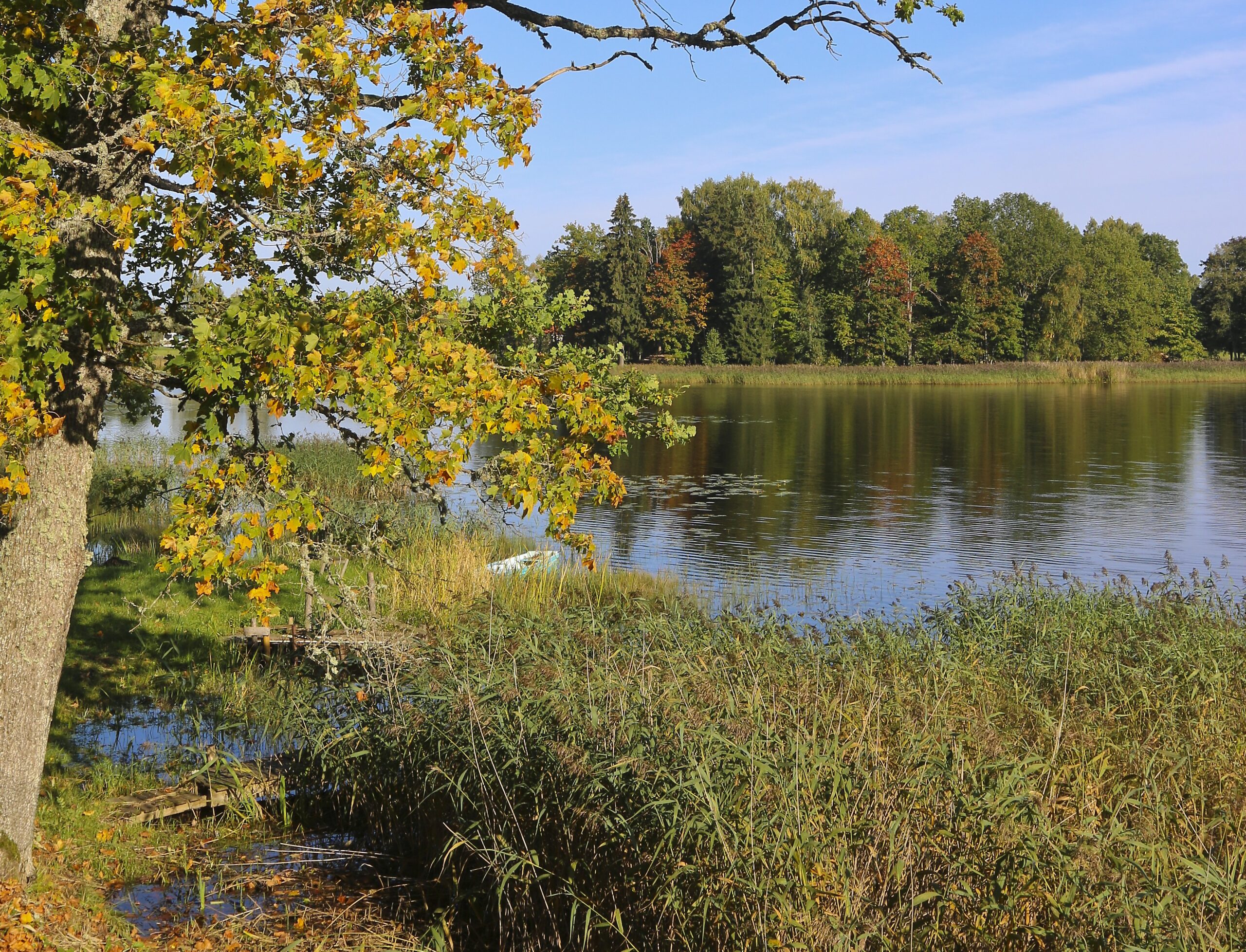 Rudens Fotomarta 5 1