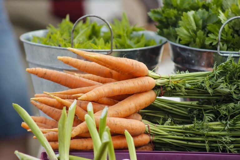 Veltes Fotomarta 12 1