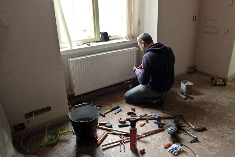 Veselavas Muizhaa Fotomarta 1