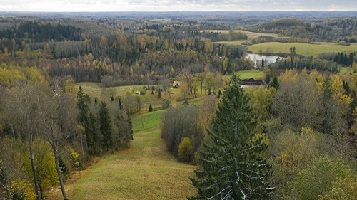 Dl Delinkalns Foto 1