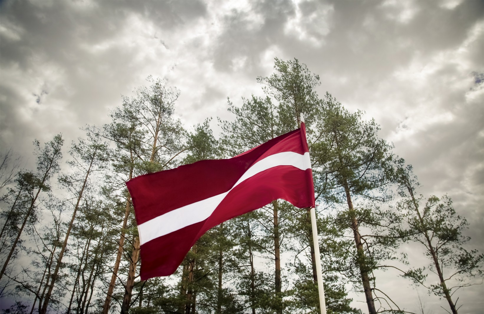 Karogs Fotomarta 4 1