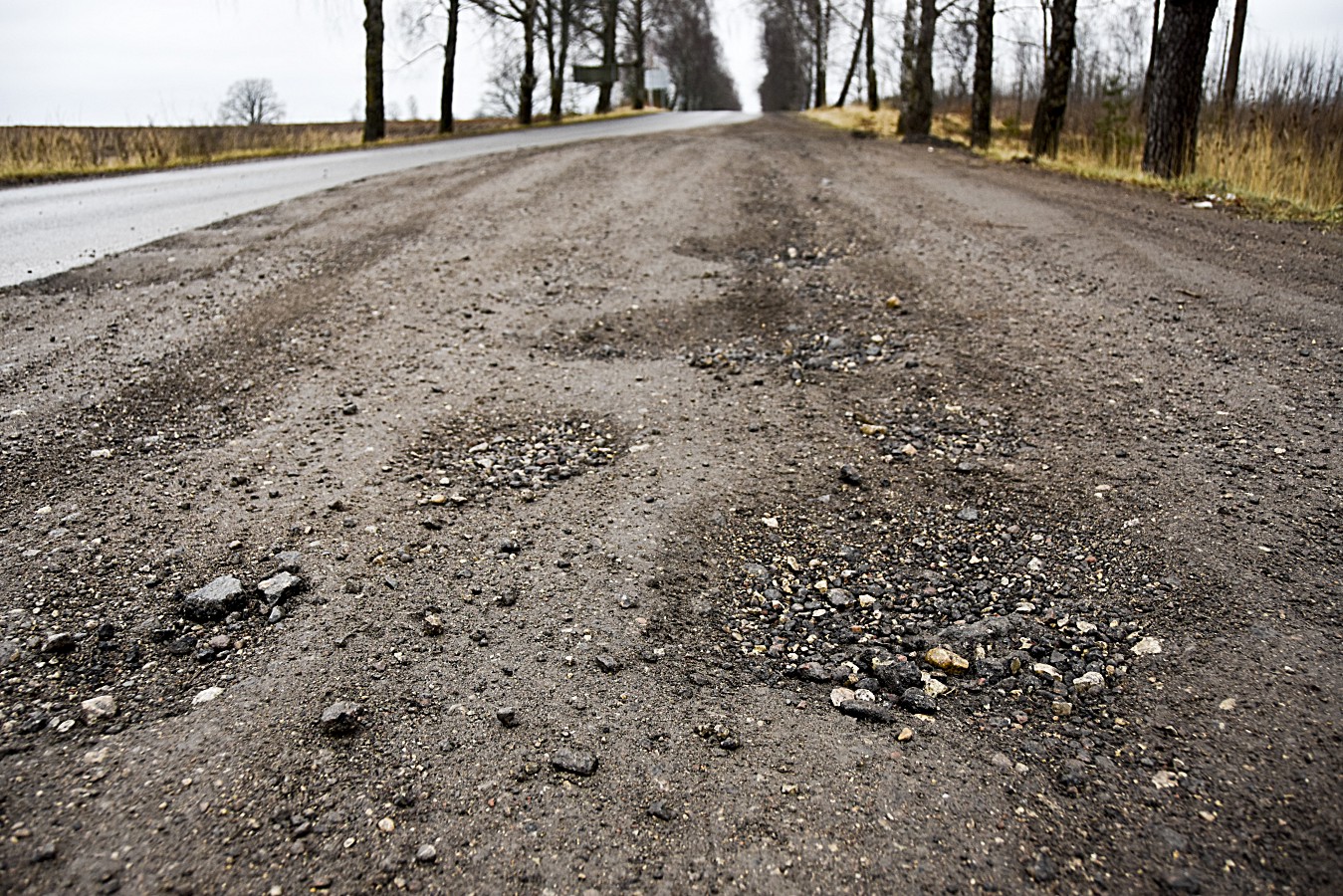 Bedres Indarsfoto 2 1