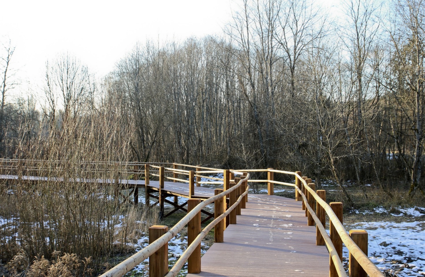 Dabas Taka Zvanu Klintis Leglite