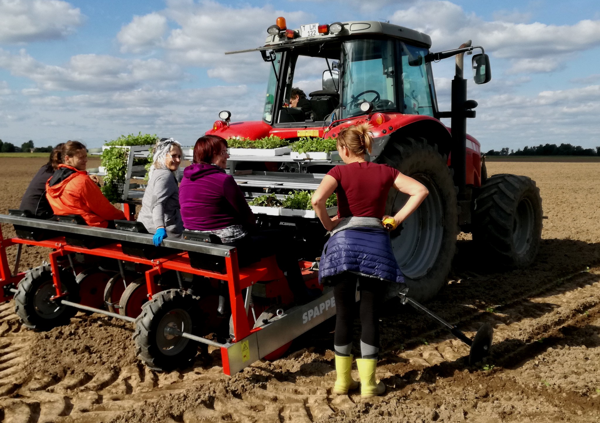 Fields And Forest 2 1