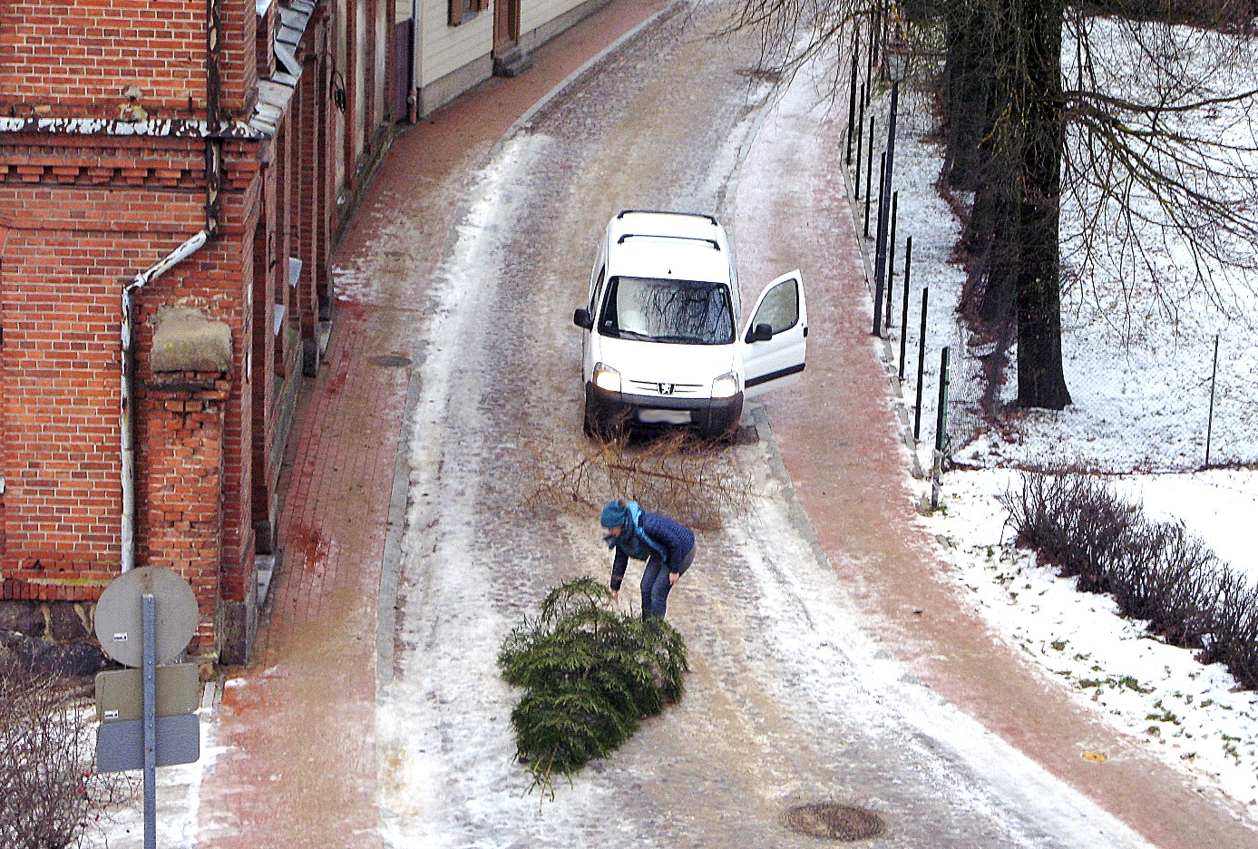 Garam Eglite Uz Cela 1