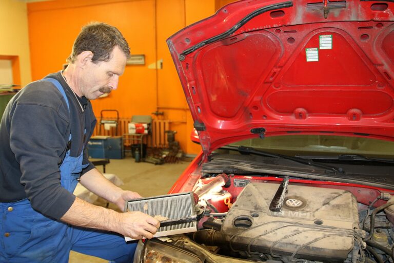 Igors Petrovs Autoserviss Foto Leglite