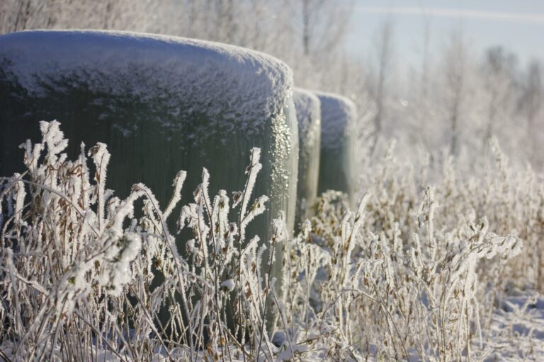 Ziemas Skats Fotomarta 4 1