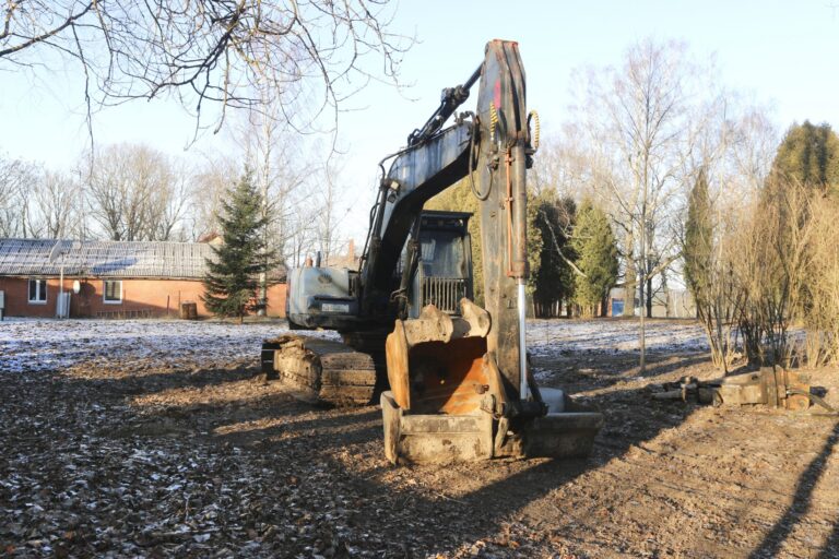 Ciiruljos Fotomarta 1