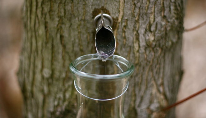 Klava Klavu Sula Tecinasana 45654994 1