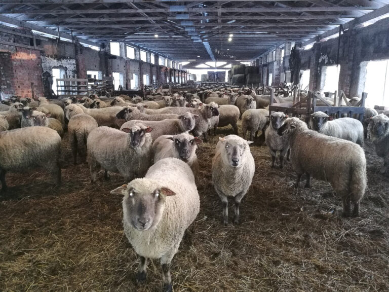 Aitinas Fotomarta 9 1