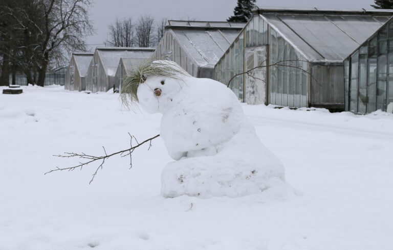 Garaam Sniegaviirs Fotomarta 1