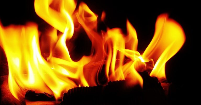 Pardaugava Liesmas Noposta Ulmanlaiku Koka Ekas 55d4c0f700190 1