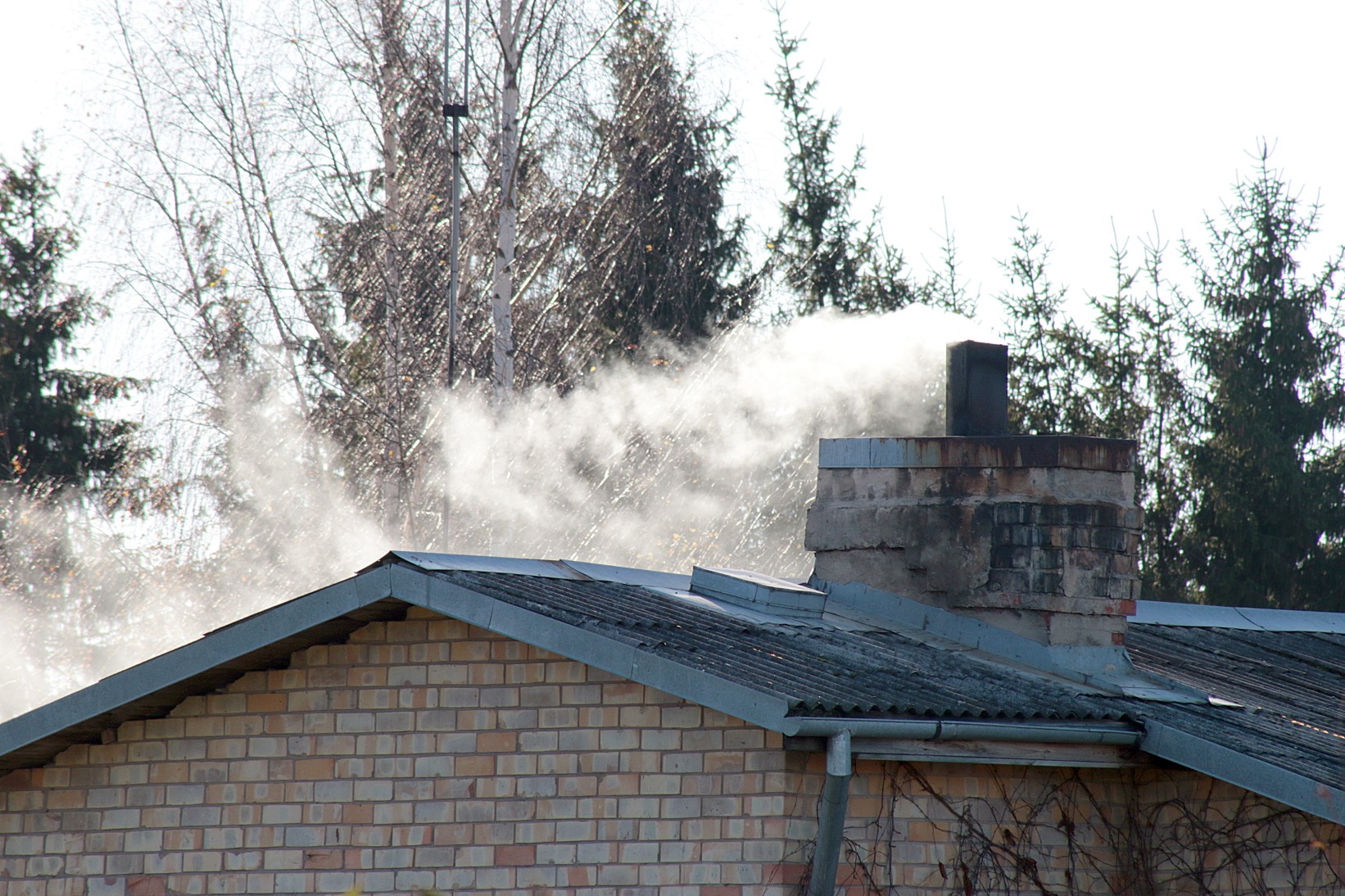 Skurstenis Fotomarta