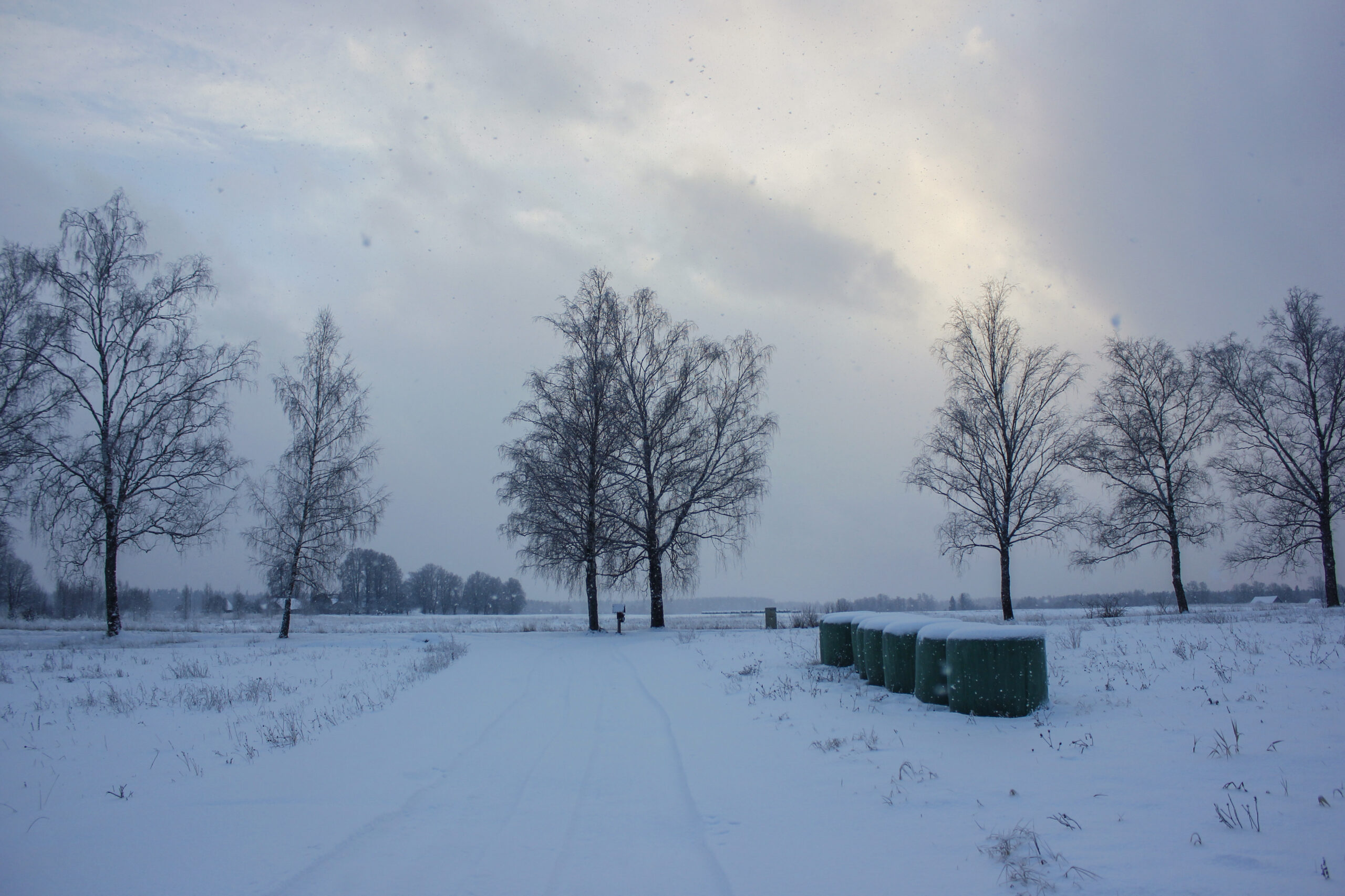 Ziema Fotomarta28729 1