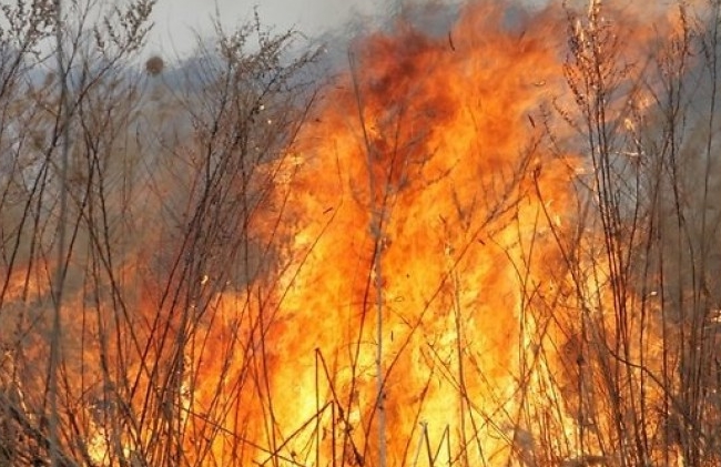 76049 5364a42002e8b 1.jpg 1