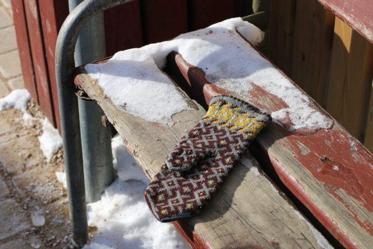 Cimdins Fotomarta 4 1