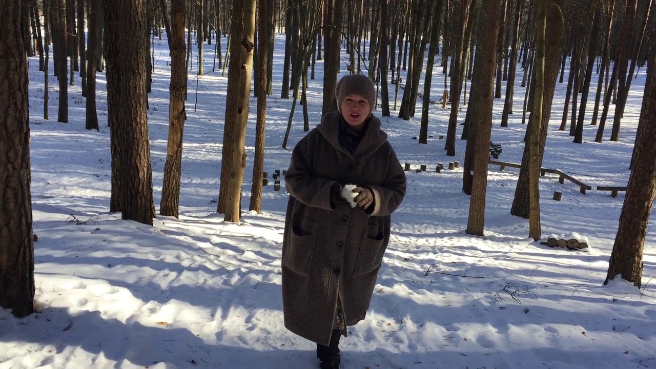 Video Iet Rp Sevis Izv L Tu Saj Tu Parka Koku Sarkanbaltsarkan 1