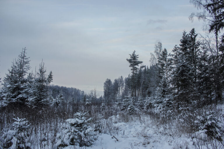 Ziema Fotomarta281129 1