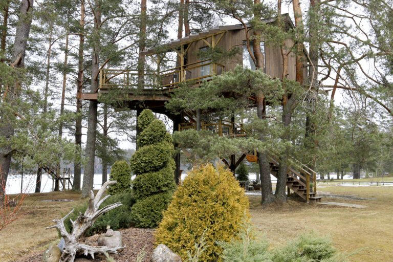 Maaja Kokaa Fotomarta 1