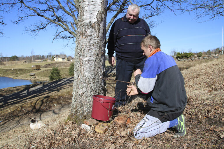 Sulu Viiri Fotoliigae 1