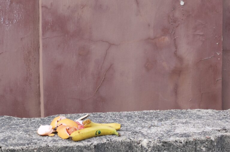 Garam Banani Fotomarta 1