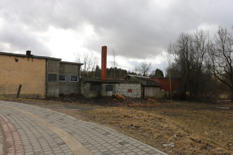 Raibaa Dziive Fotomarta 1 1