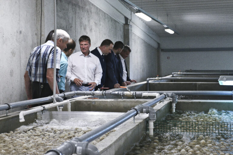 Atklasana Fotomarta 172 1